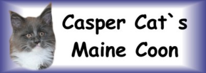 Banner Casper Cats 1